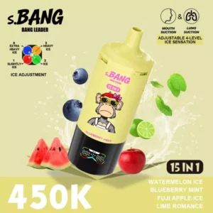 Jednorazowe urządzenie vape 450k Puffs Bnag Leader Fuji Romance Mint