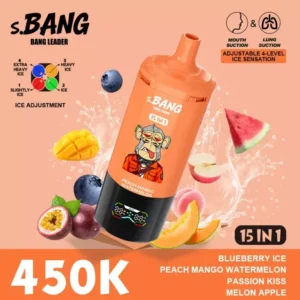 Jednorazowe urządzenie vape 450k Puffs Bnag Leader Passion Melon Kiss