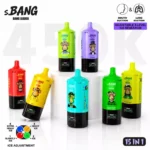 Jednorazowe urządzenie vape 450k Puffs Bnag Leader Summer Orchard Anthology