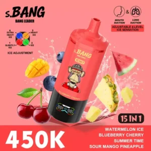 Jednorazowe urządzenie vape 450k Puffs Bnag Leader Summer Sour Pineapple