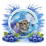 Fumot Snus Blueberry 50mg Eu Warehouse Disposable Vape Device