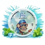 Fumot Snus Ice Mint 11mg Eu Warehouse Disposable Vape Device