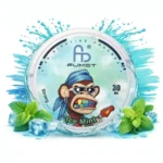 Fumot Snus Ice Mint 30mg Eu Warehouse Disposable Vape Device