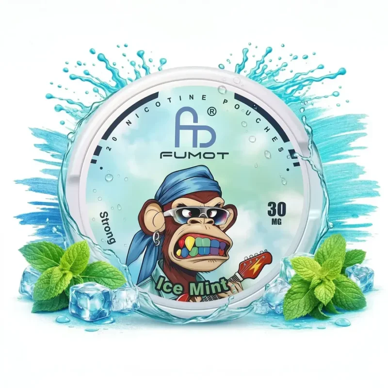 Fumot Snus Ice Mint 30mg Eu Warehouse Disposable Vape Device
