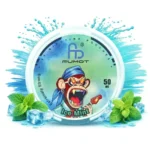 Fumot Snus Ice Mint 50mg Eu Warehouse Disposable Vape Device
