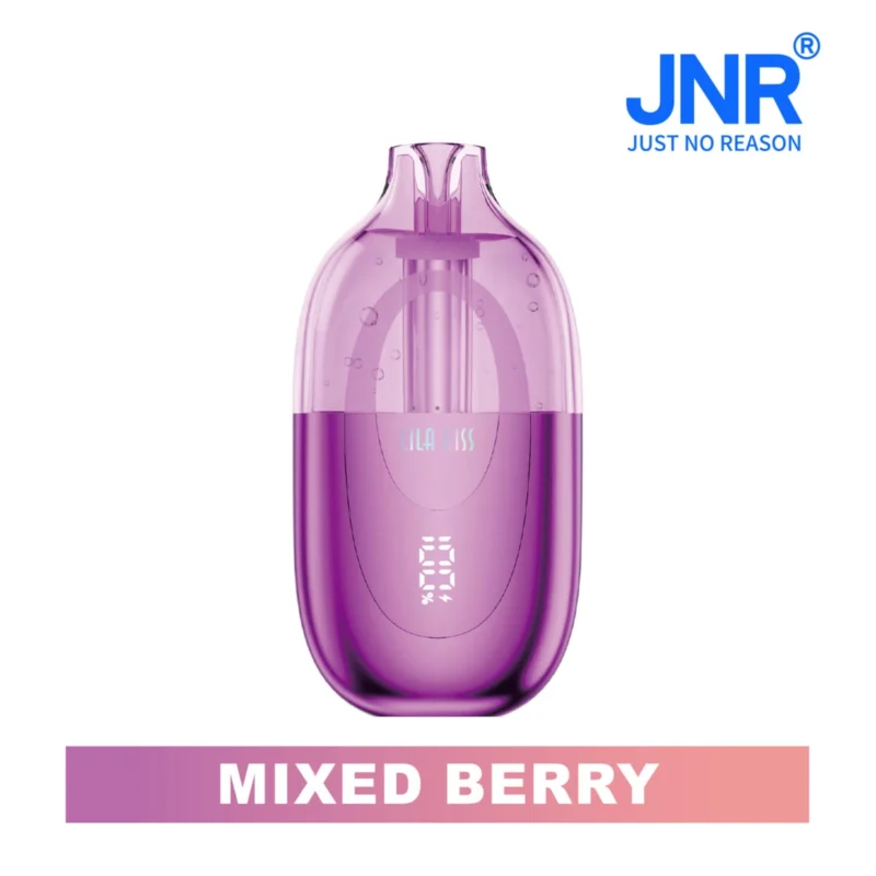 Jnr Lila Kiss 60000 60k Puffs Einweg gemischte Beere Vape Gerät