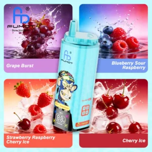 Fumot Eco 4-in-1 80k 80.000 Züge Einweg-E-Zigarette: Grape Burst, Blueberry, Sour Raspberry, Strawberry, Cherry Ice – 2 Geräte