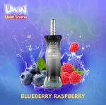Uwin Shisha 300.000 (300k) Züge Einweg-Vape DTL-Shisha-Gerät mit Blaubeer- und Himbeergeschmack