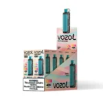 Vozol Gear Hookah 40000 – Einweg-E-Zigarette mit 40.000 Zügen, Geschmacksrichtung Beere-Minze