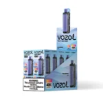 Vozol Gear Hookah 40000 (40k Puffs) Einweg-E-Zigarette „Blueberry Ice“