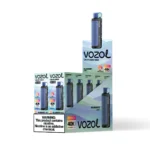 Vozol Gear Hookah 40000 – Einweg-E-Zigarette mit 40.000 Zügen, Geschmack: Blaubeere-Minze