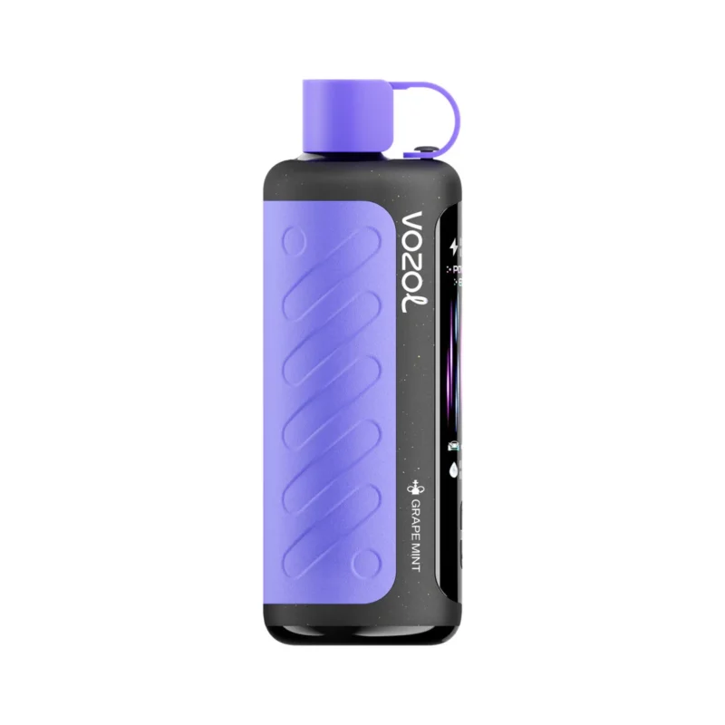 Vozol Gear Hookah 40000 40k Züge Einweg-E-Zigarette Traube-Minze 1 Gerät