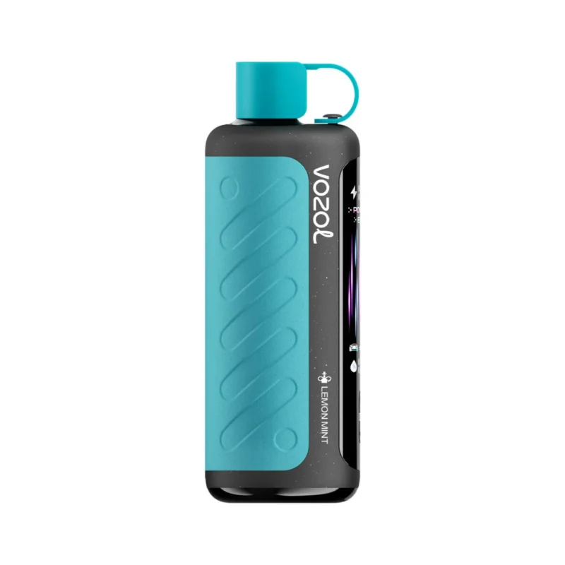 Vozol Gear Hookah 40000 40k Züge Einweg-E-Zigarette Zitrone-Minze 1 Gerät