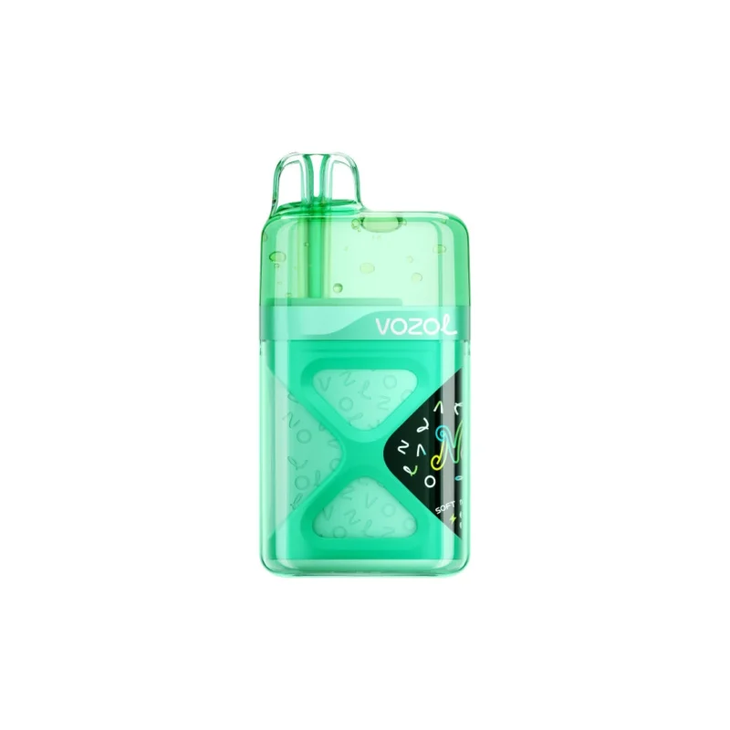 Vozol Neon 60000 60k Puffs Disposable Vape Blackberry Pomegranate Cherry Device