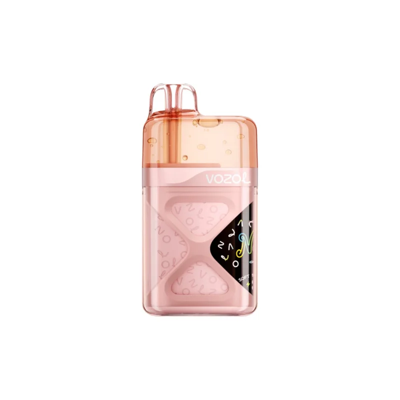 Vozol Neon 60000 60k Puffs Disposable Vape Strawberry Raspberry Cherry Device