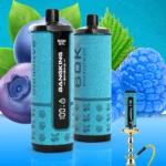 Bang King Shisha 60000 – Einweg-E-Zigarette mit 60.000 Zügen, „Blueberry Razz Burst“