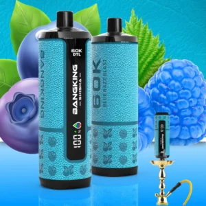 Bang King Shisha 60000 – Einweg-E-Zigarette mit 60.000 Zügen, „Blueberry Razz Burst“