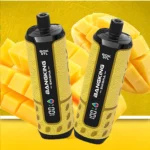 Bang King Shisha 60000 – Einweg-Vape mit 60.000 Zügen, „Cool Mango“-Geschmack