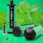 Bang King Shisha 60000 – Einweg-Vape mit 60.000 Zügen, Geschmack „Cool Mint“