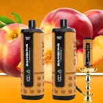 Bang King Shisha 60000 – Einweg-Vape mit 60.000 Zügen, Geschmack „Peach Ice“