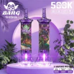 Qq Bang Shisha Einweg-E-Zigarette mit 500.000 Zügen, Geschmack: Traube-Minze