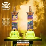 Qq Bang Shisha 500.000 Züge Einweg-E-Zigarette 500k Mango-Gerät