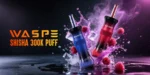 Waspe Shisha Hookah 300.000 Züge Einweg-E-Zigarette, 4er-Pack