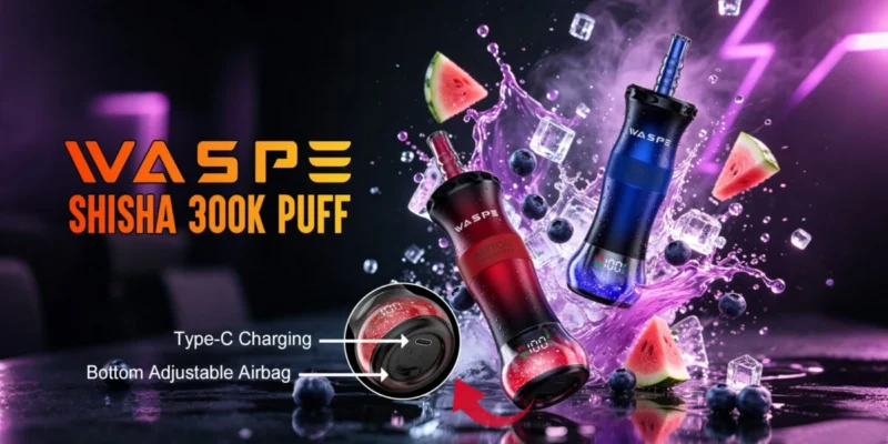 Waspe Shisha Hookah 300.000 Züge Einweg-E-Zigarette, 5er-Pack