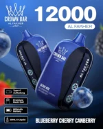 Vozolvapen Al Fakher Cloud Box 12.000 Züge, Geschmack: Blaubeere, Kirsche, Cranberry – Einweg-E-Zigarettengerät aus dem EU-Lager