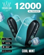 Vozolvapen Al Fakher Cloud Box 12.000 Züge, Geschmack „Cool Mint“, EU-Lager, Einweg-E-Zigarette