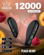 Vozolvapen Al Fakher Cloud Box 12.000 Züge, Pfirsich-Beeren-Geschmack, aus dem EU-Lager, Einweg-E-Zigarette