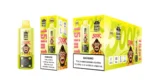 Vozolvapen Bang Blaze 500k 500.000 Züge 15-in-1-Vape-Geschmacksgruppe 10: Erdbeere, Wassermelone, Kiwi, Passionsfrucht, Guave, Beeren