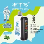 Vozolvapen Ets Monster 25.000 Züge, Geschmack „Fresh Mint“, Display, EU-Lager