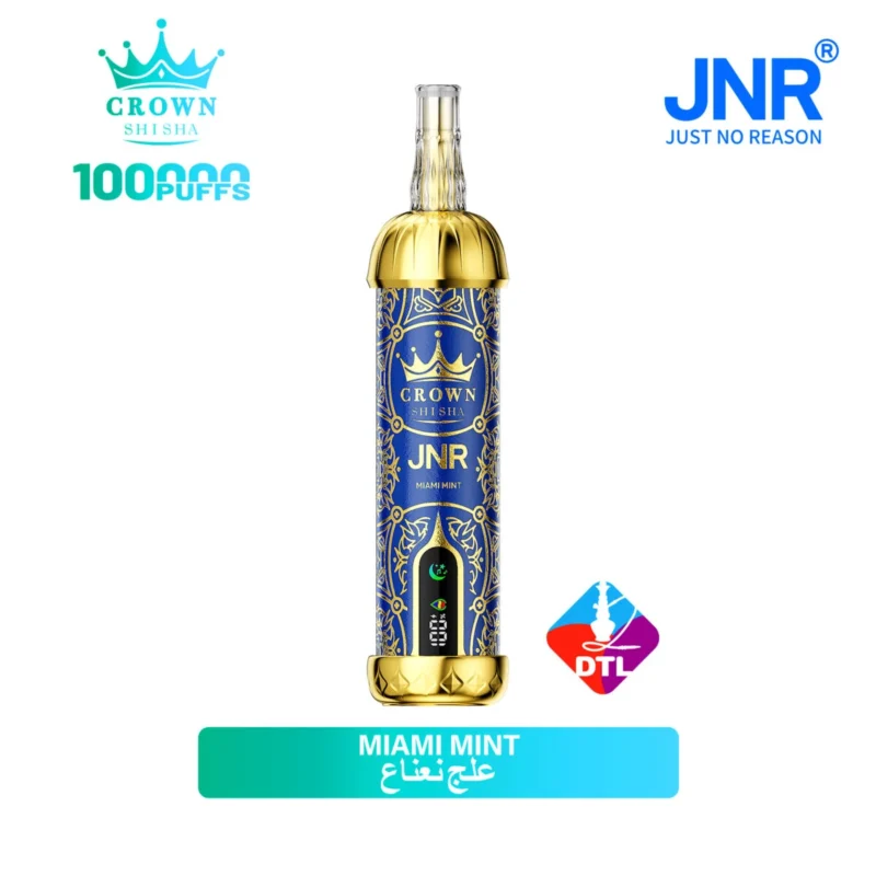 Vozolvapen Jnr Crown Shisha 100.000 Züge, Geschmacksrichtung „Mint“, 13 EU-Lager