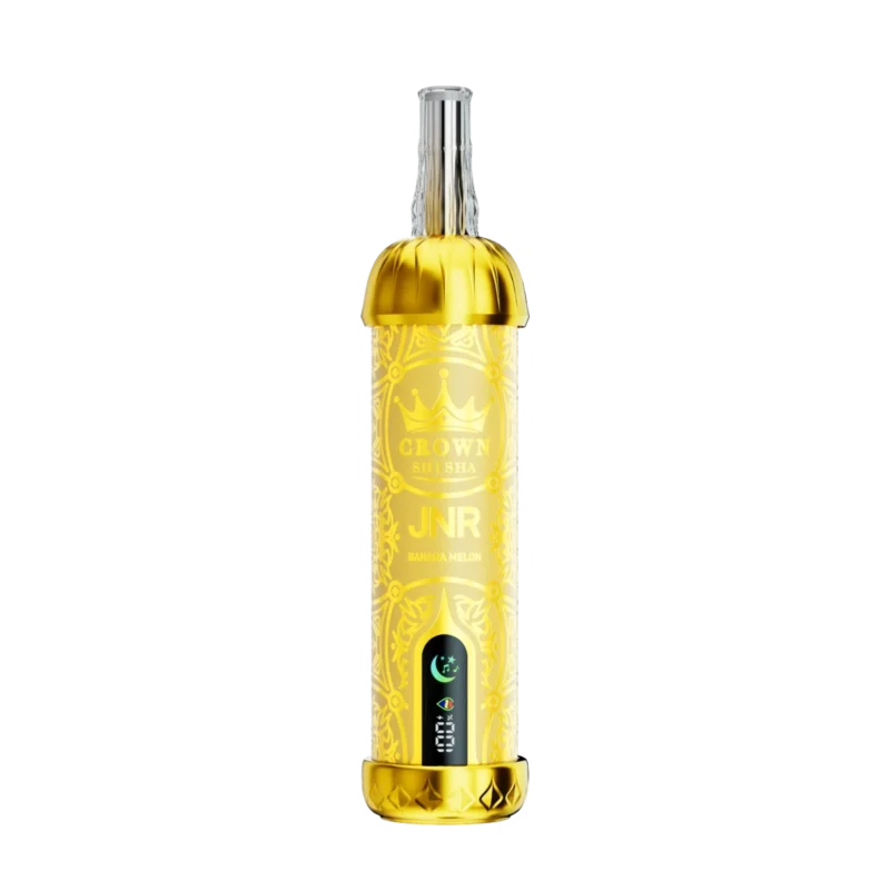 Vozolvapen Jnr Crown Shisha 100.000 Züge – Produktansicht von vorne – Banane-Melone 02 – Einweg-E-Zigarettengerät aus dem EU-Lager