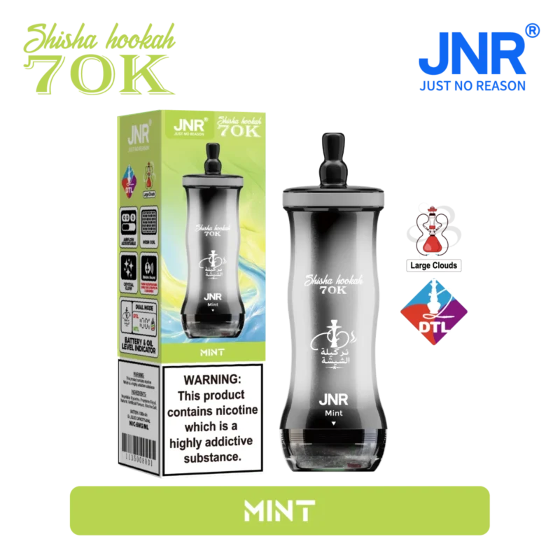 Vozolvapen Jnr Shisha Hookah 700.000 Züge, kleine Packung, Minzgeschmack, 14 EU-Lager, Einweg-E-Zigarettengerät