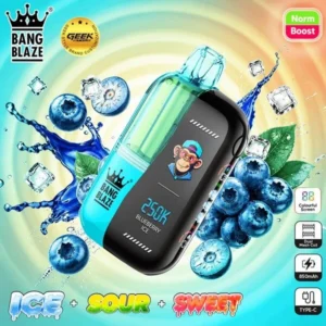 Vozolvapen Bang Blaze 250.000 Züge Blueberry Ice 014 Einweg-E-Zigarette