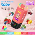 Vozolvapen Bang De 300.000 Züge 5-in-1 Wassermelone, Eis, Erdbeere, Mango, Kalifornische Kirsche, Heidelbeere, Pfirsich, Beeren 010 Einweg