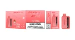 Vozolvapen Bang King Magic Box 40.000 Züge, Erdbeer-Wassermelonen-Eis-Geschmack, Bild 003, Einweg-E-Zigarettengerät