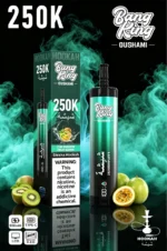 Vozolvapen Bang King Oushami Shisha Hookah 250.000 Züge, Geschmack: Kiwi, Passionsfrucht, Guave, Bild 002, Einweg-E-Zigarette