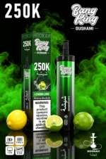 Vozolvapen Bang King Oushami Shisha Hookah 250.000 Züge, Zitronen-Limetten-Geschmack, Bild 004, Einweg-E-Zigarettengerät