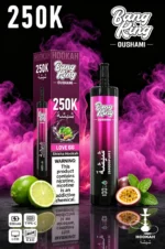 Vozolvapen Bang King Oushami Shisha Hookah 250.000 Züge Love 66 Geschmack Bild 013 Einweg-E-Zigaretten-Gerät