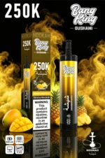 Vozolvapen Bang King Oushami Shisha Hookah 250.000 Züge, Mango-Ananas-Geschmack, Bild 001, Einweg-E-Zigarettengerät