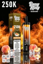 Vozolvapen Bang King Oushami Shisha Hookah 250.000 Züge, Geschmack „Peach Ice“, Bild 011, Einweg-E-Zigarettengerät