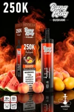 Vozolvapen Bang King Oushami Shisha Hookah 250.000 Züge, Geschmack: Pfirsich, Mango, Wassermelone, Bild 007, Einweg-E-Zigarette