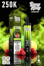 Vozolvapen Bang King Oushami Shisha Hookah 250.000 Züge, Himbeer-Zitronen-Geschmack, Bild 003, Einweg-E-Zigarettengerät