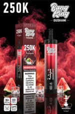 Vozolvapen Bang King Oushami Shisha Hookah 250.000 Züge, Wassermelonen-Eis-Geschmack, Bild 009, Einweg-E-Zigarettengerät