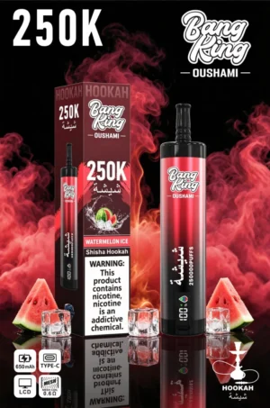 Vozolvapen Bang King Oushami Shisha Hookah 250.000 Züge, Wassermelonen-Eis-Geschmack, Bild 009, Einweg-E-Zigarettengerät